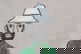 item-210557160=2
