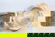 item-210557162=17