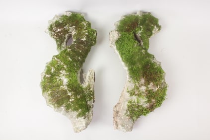 Pair of Moss Covered Cast Stone Concrete Seahorse Garden Ornaments