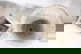 item-210557221=12