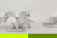 item-210557235=2
