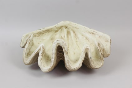 Large Plaster Clam Shell Sculpture