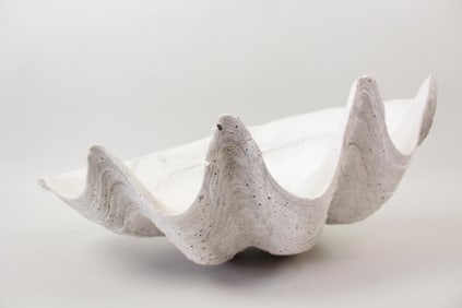 Ceramic Clam Shell 22inch, Tridacna Gigas Specimen