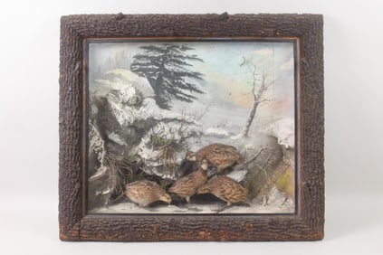 Taxidermy of 4 Bobwhite Quail in Glass Case, Game Birds