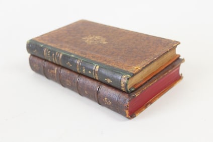 Leather-bound Secret Book Box, French Titles