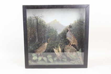 Taxidermy Glass Diorama Case, Pair of Quail Game Birds