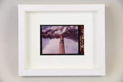 Mitch Epstein Photograph, "Gavin Plant," Cheshire, Ohio