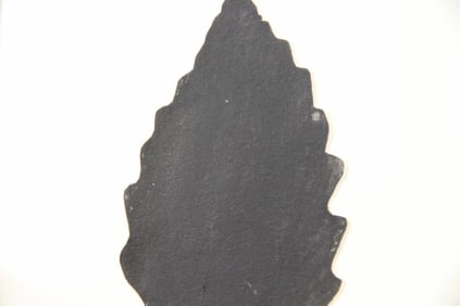 Framed Image of a Leaf by Eric Rhein, 1998