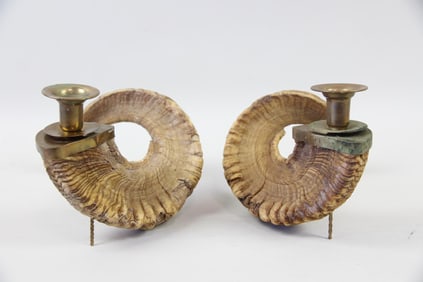 Pair of Curly Ram Horn Candlesticks