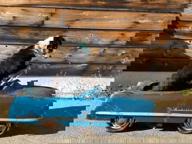 Garton "Kidillac" Pedal Toy Car