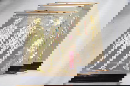 Group of 5 A.J. Nystrom Anatomical Charts