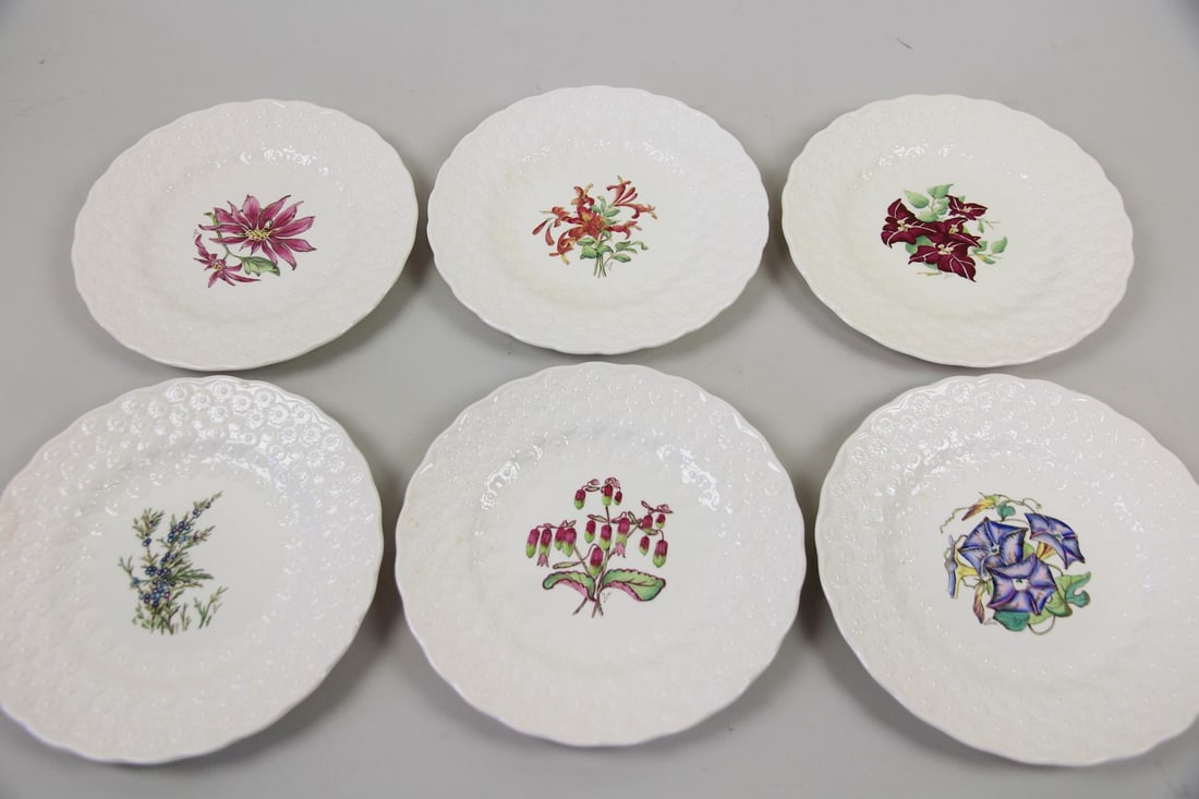 Set of 6 Spode China "Bermuda Flowers" Luncheon Plates (1 of 13)