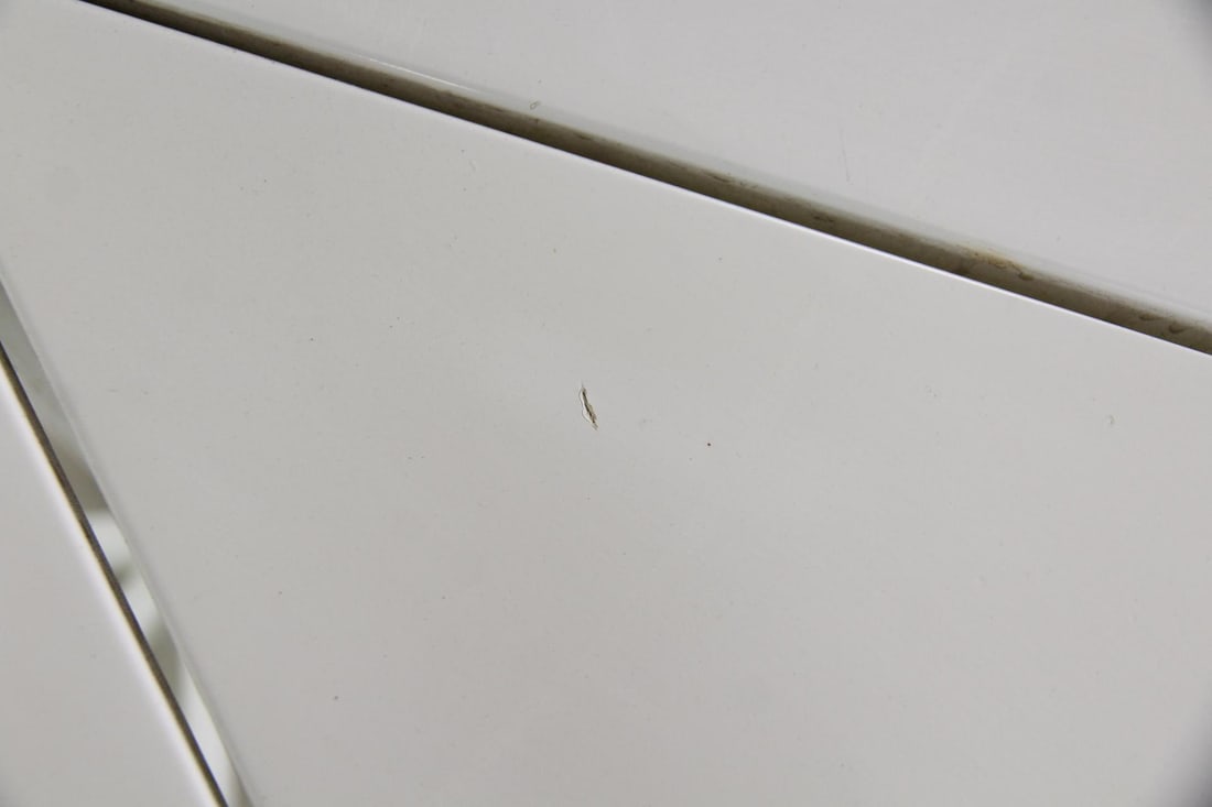 Richard Schultz for Knoll Petal Dining Table - 11