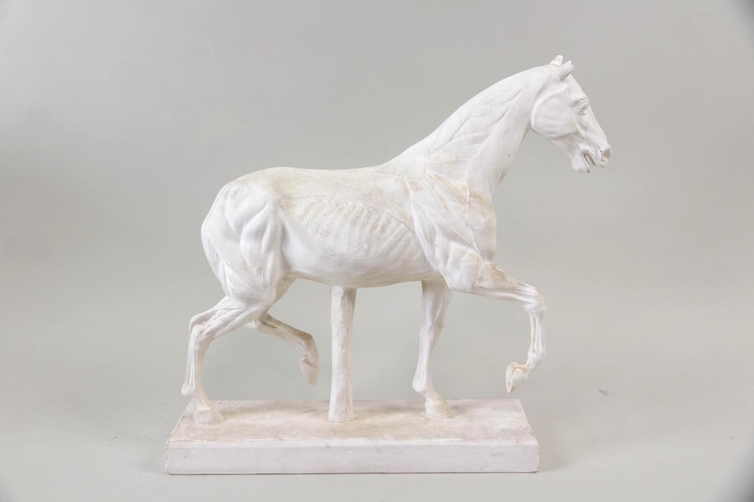 Marcel Leduc Anatomical Plaster Sculpture of a Horse (1 of 11)