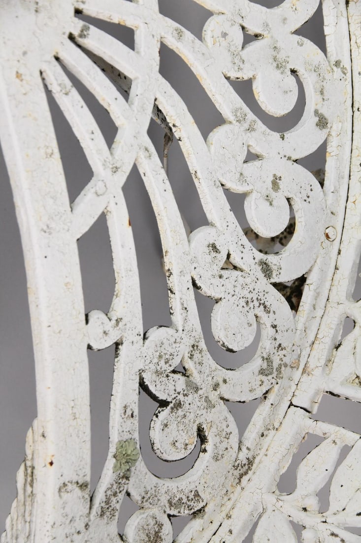 19th C. Cast Iron Concave Laurel Leaf Pattern Garden Bench - 6