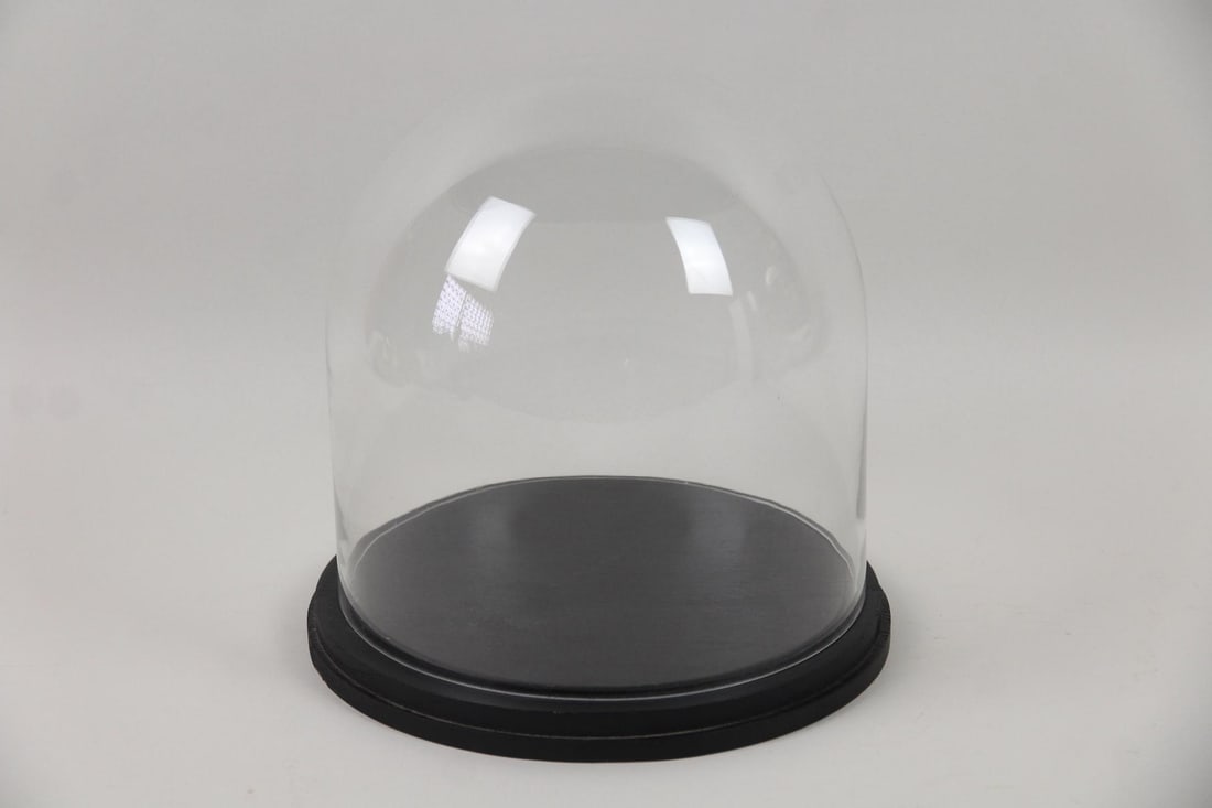 Glass Display Cloche Dome: Glass Display Cloche Dome. Glass dome with a round black wooden base. Dimensions are 11 in h x 10.75 in w x 10.75 in d. Condition is good with minor wear. Please call or email for a detailed