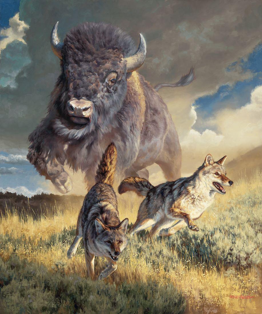 Dustin Van Wechel - Get Off My Lawn (1 of 1)