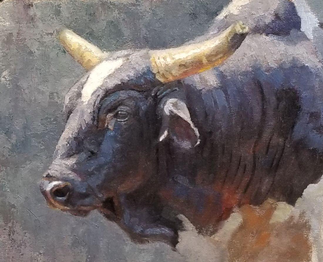 Brandon Bailey - Rodeo Bull (1 of 1)