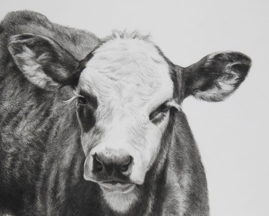 Karmel Timmons - Mad Calf (1 of 1)