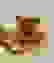 item-92580000=4