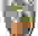 item-92580012=5