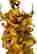 item-120915902=2