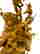 item-120915902=3