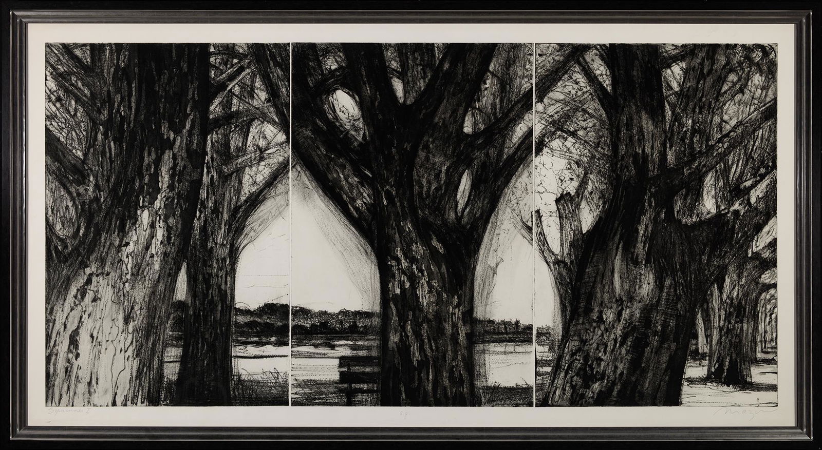 Michael Mazur, Sycamore I, n.d., Charcoal on paper: Michael Mazur (1935-2009) Sycamore I, n.d. Etching, Artist's Proof Signed lower right