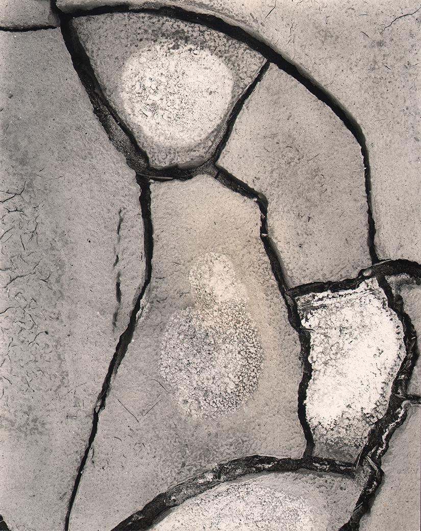 CALIFORNIA MID-CENTURY: Donald Ross: Donald Ross, Cracked Mud, c. 1950, Vintage gelatin silver print, 9.5" x 7.5". Signed in pencil on verso. Provenance: Estate of Nata Piaskowski. Exhibited: "Perceptions," SFMOMA & traveling, 1954. Arti