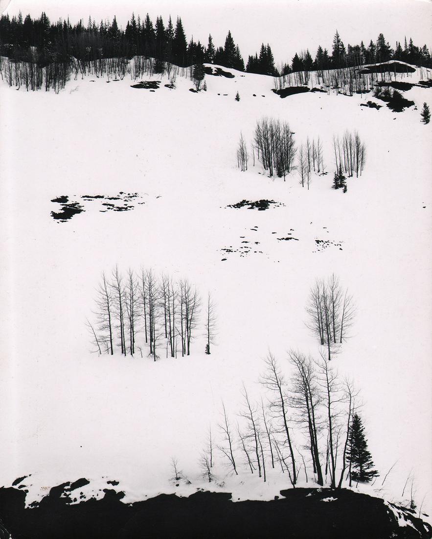 CALIFORNIA MID-CENTURY: Don Worth (1 of 3)