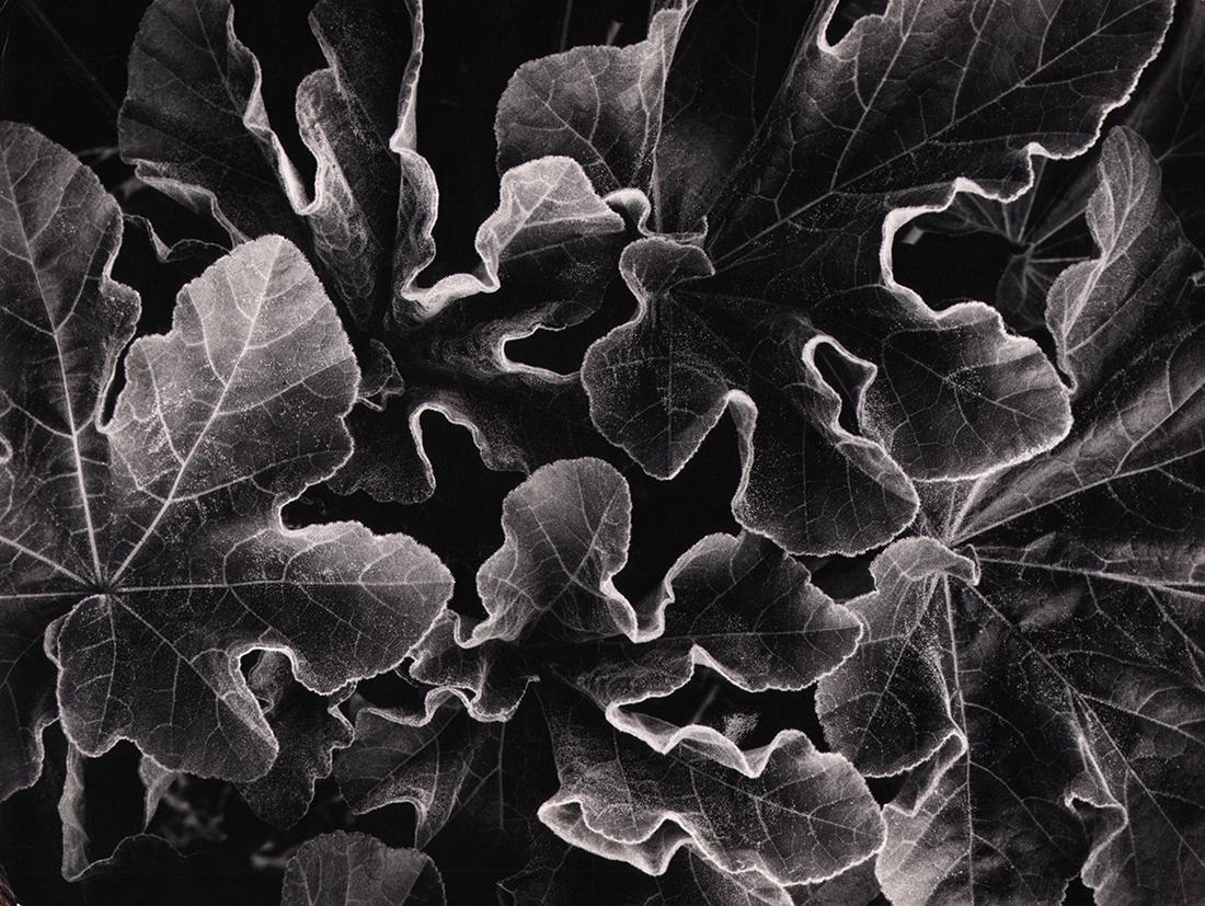 CALIFORNIA MID-CENTURY: Don Worth (1 of 3)