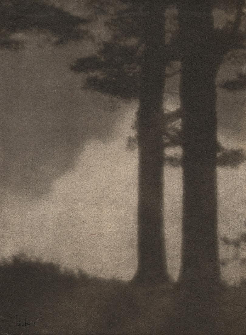 Francis O. Libby, Wardens of the Sky, Maine, 1918: Francis O. Libby, Wardens of the Sky, Maine, 1918, Gum print, 13.5" x 9.75". Artist's credit and date in pen on recto. Signed, titled, & artist's address in pencil on verso. Numbered in pencil on vers