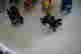 item-97037181=10