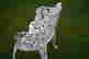 item-106681350=5