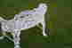 item-106681350=6