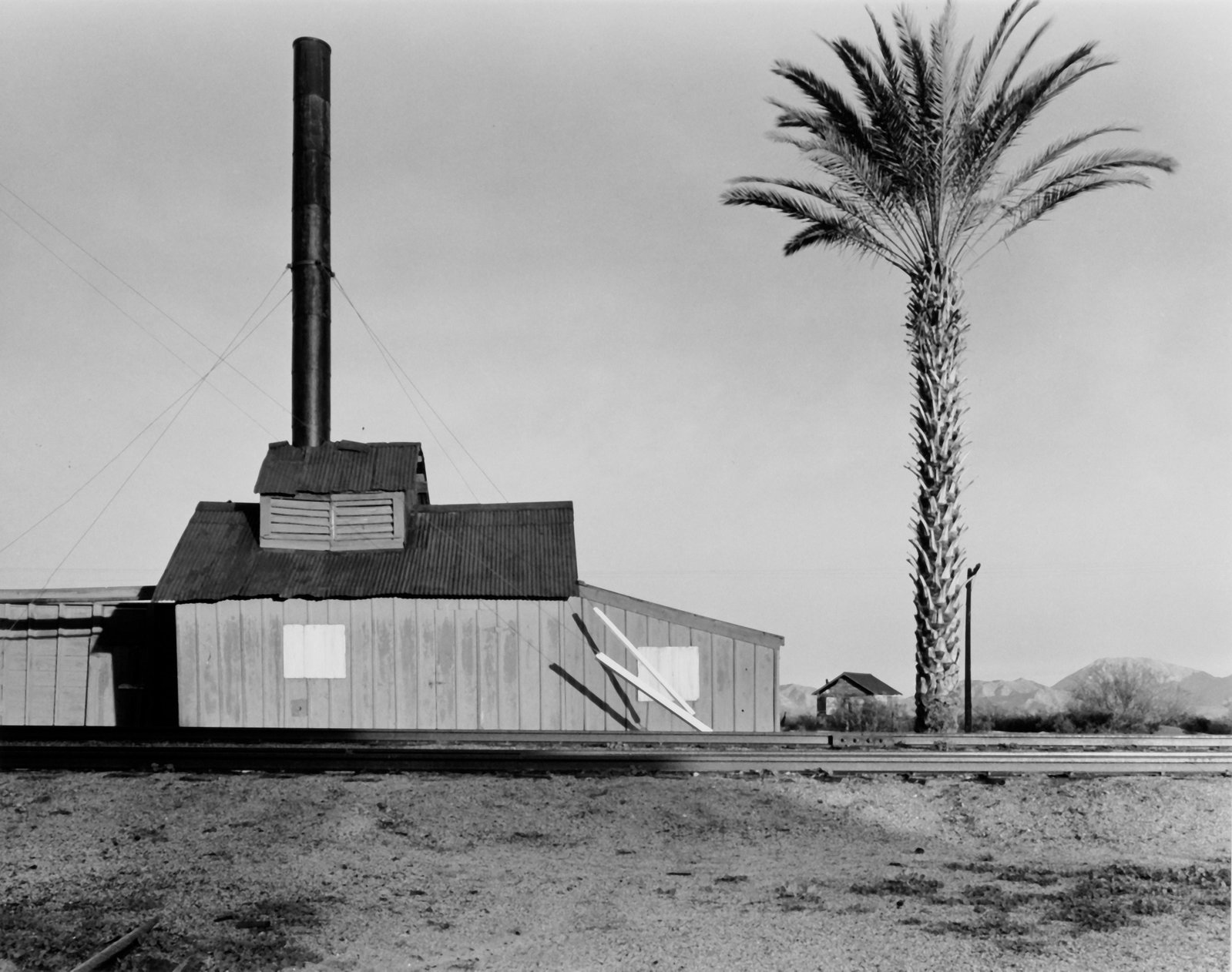 Powerhouse and Palm Tree, New Mexico, 1940: WRIGHT MORRIS (1910-1998), POWERHOUSE AND PALM TREE, NEAR LORDSBURG, NEW MEXICO,1940 gelatin silver print, printed 1980, from the Wright Morris portfolio (1981) ed. 23/50; 7 ½ x 9 ½ in. (image), 18 