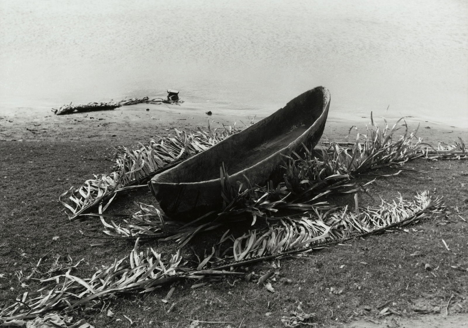 MANUEL ALVAREZ BRAVO, CORONADA DE PALMAS, 1936 (1 of 2)