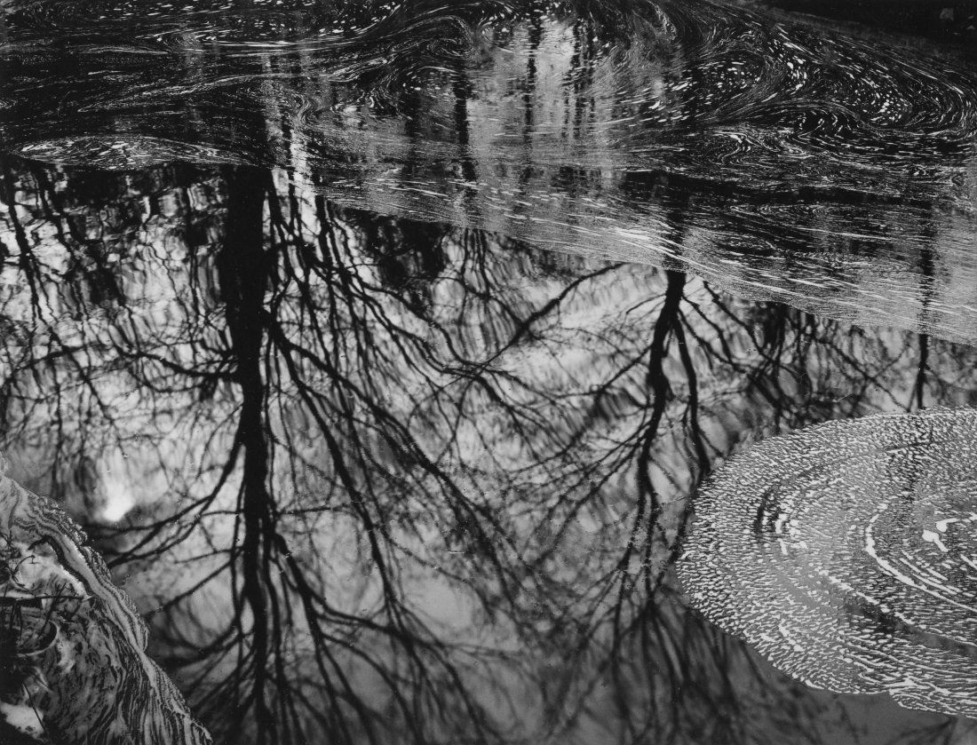 PAUL CAPONIGRO, POND SCUM AND REFLECTIONS, 1970 (1 of 1)