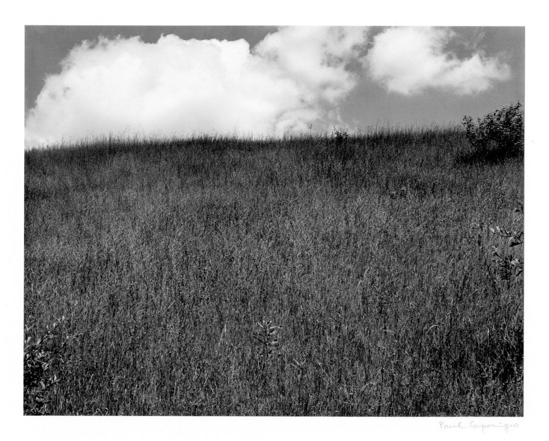 PAUL CAPONIGRO, LANDSCAPE, KALAMAZOO,  MI, 1970 (1 of 1)