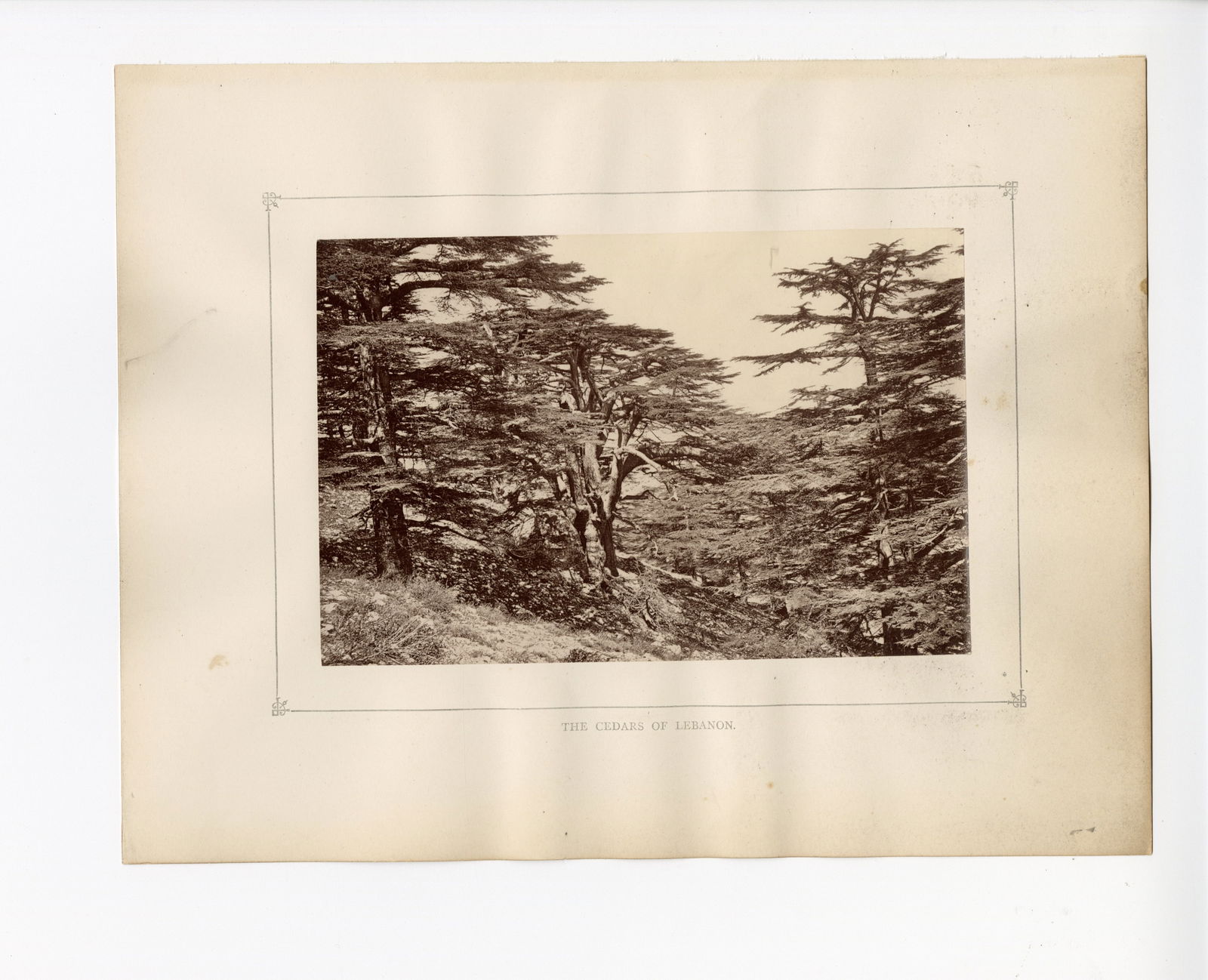 LOT 6 H.B. TRISTAM, 4 VIEWS OF THE MIDDLE EAST, c. 1858-1881 (1 of 4)