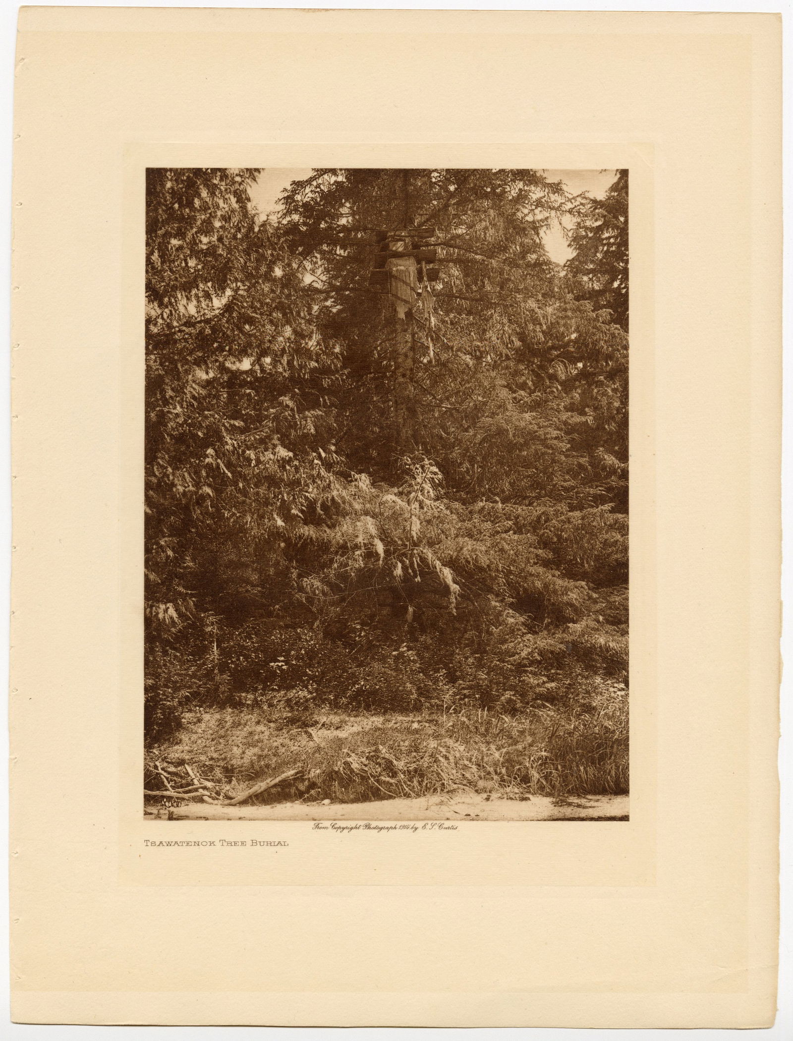 , Edward Sheriff Curtis, Five Vintage Photogravures, 1914-1928 (1 of 5)