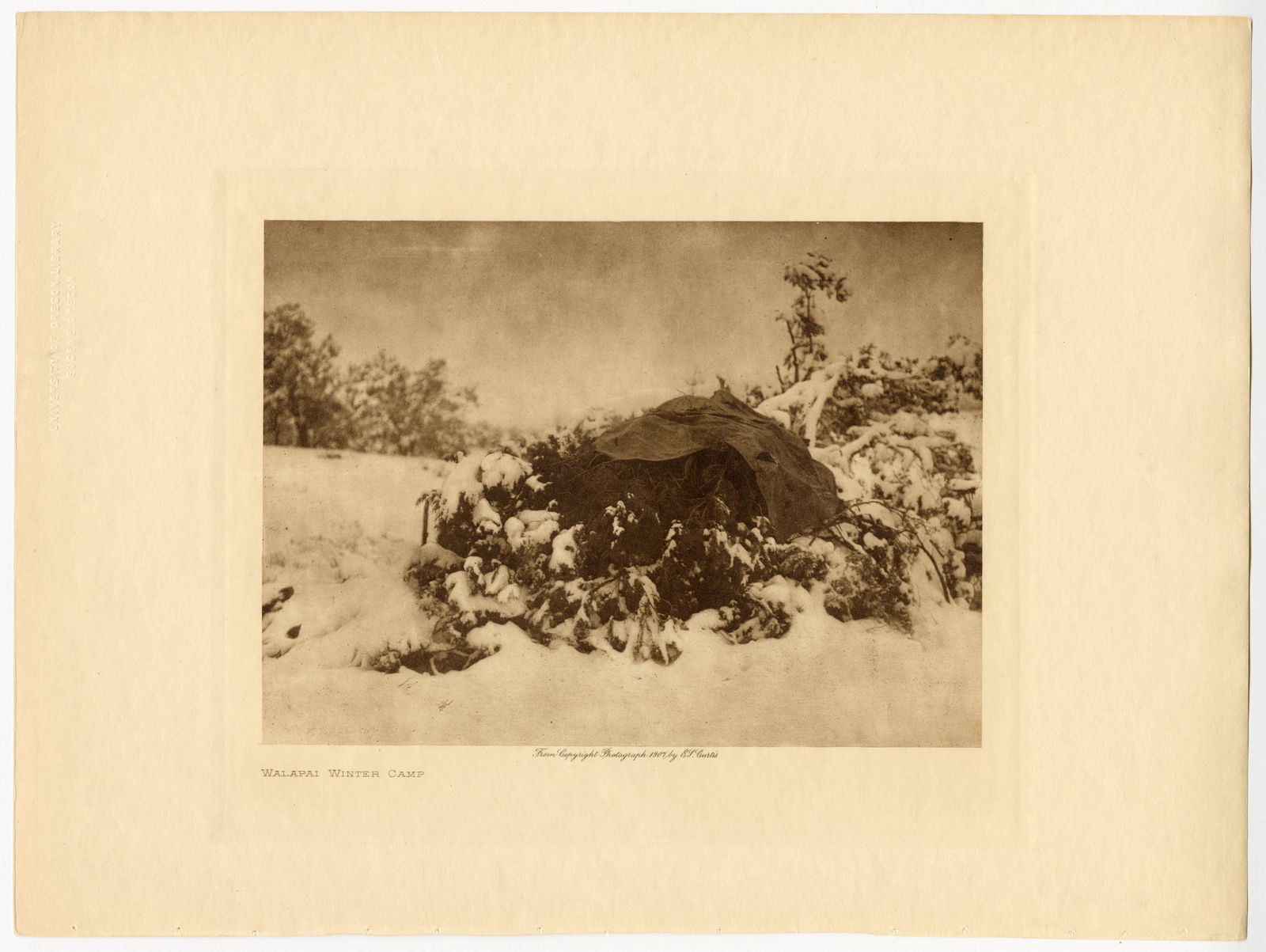 , Edward Sheriff Curtis, Five Vintage Photogravures, 1907-1925 (1 of 5)