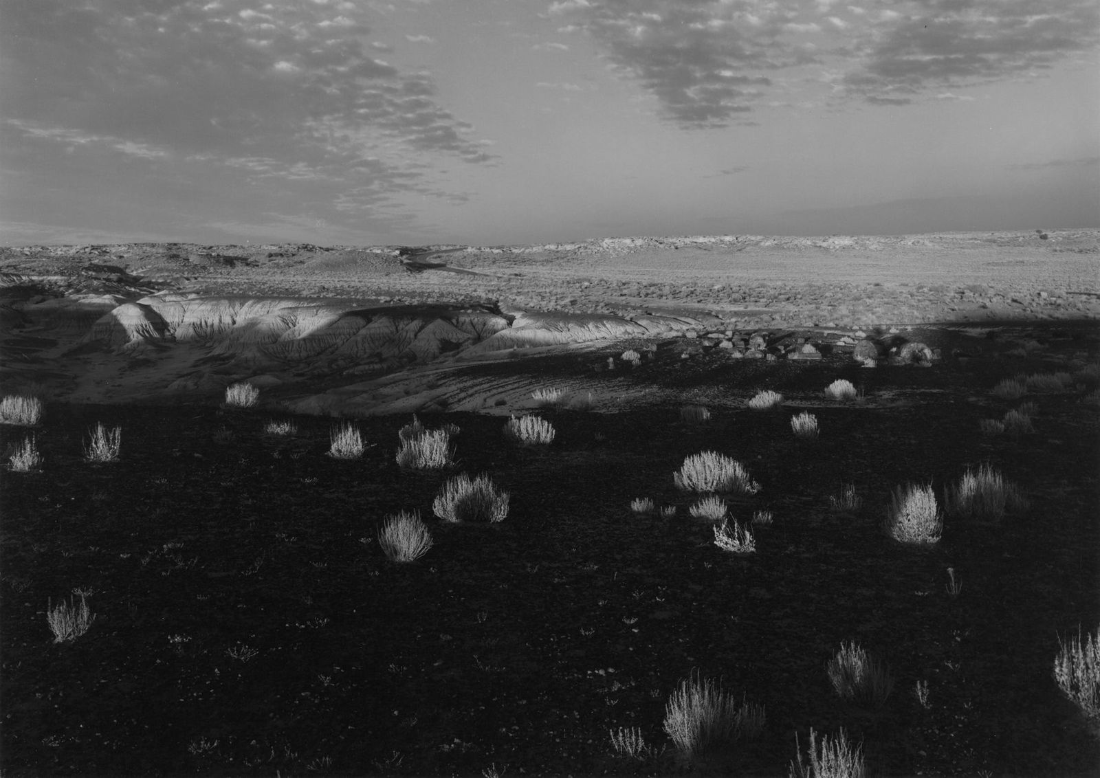 LOT 38, PETRIFIED FOREST, ARIZONA, 1976 (1 of 1)