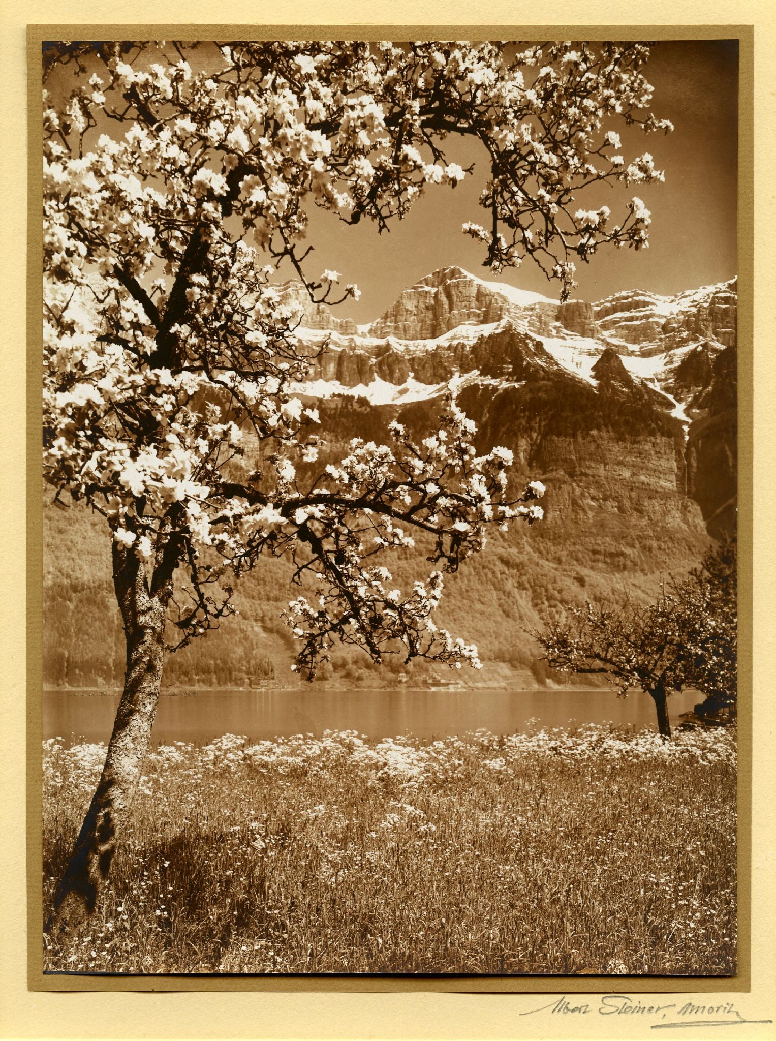 , ALBERT STEINER, SWISS MOUNTAIN SCENE, c. 1940s (1 of 1)