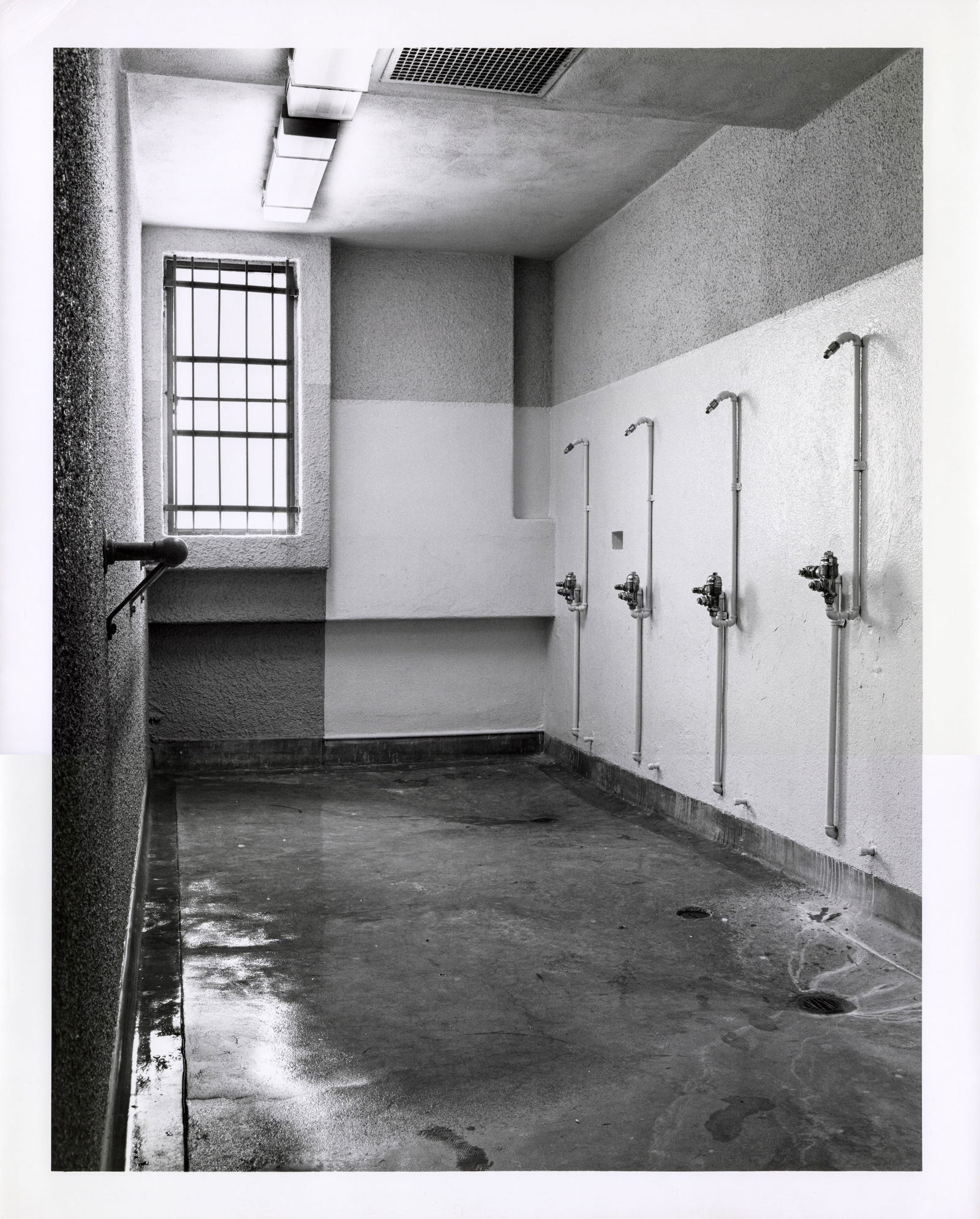 LOT 98, JO ANN CALLIS, SHOWER ROOM, from the PORTFOLIO 20/20, 1984 (1 of 1)