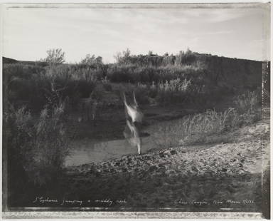 LOT 105, MARK KLETT, STEPHANIE JUMPING A MUDDY CREEK, CHALO CANYON, NEW MEXICO, 9/6/82: MARK KLETT (1952-), STEPHANIE JUMPING A MUDDY CREEK, CHALO CANYON, NEW MEXICO, 9/6/82 vintage gelatin silver print, 16 x 20 in., titled, dated recto, in silver ink, signed verso. Condition: Excellent.