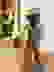 item-88992569=6
