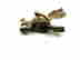 item-112311726=14