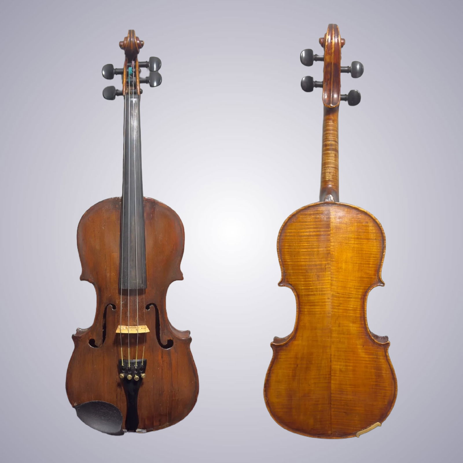 A VIOLIN LABELED GIOVANNI CAVANI (1 of 16)