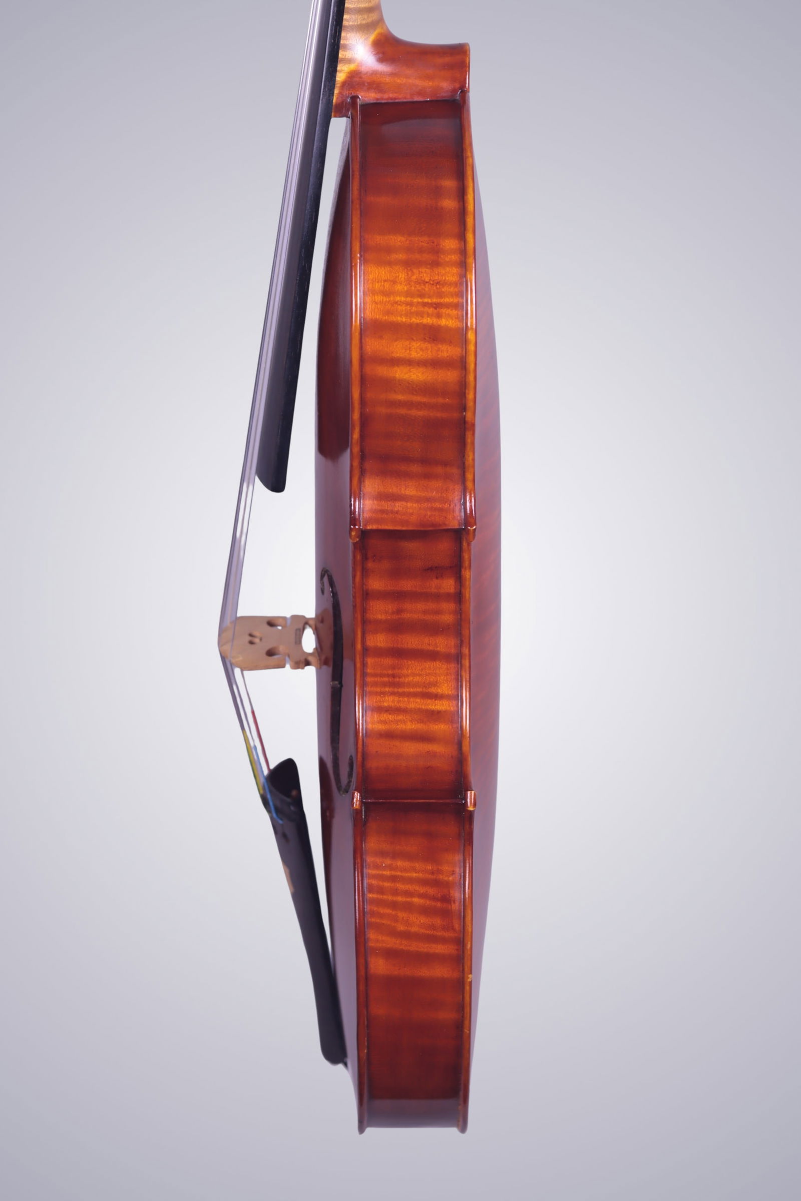 A VIOLA BY ERWIN HERTEL 1958 - 13